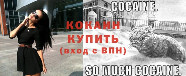мяу мяу мука Алексин