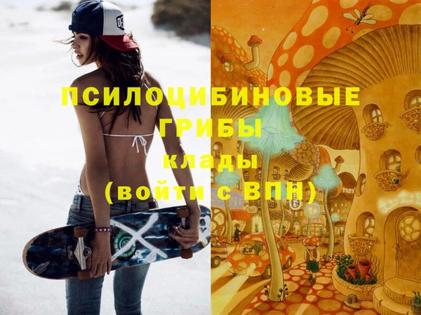 ПСИЛОЦИБИНОВЫЕ ГРИБЫ Сатка
