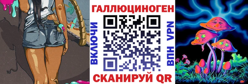 Псилоцибиновые грибы Psilocybe  Сураж 